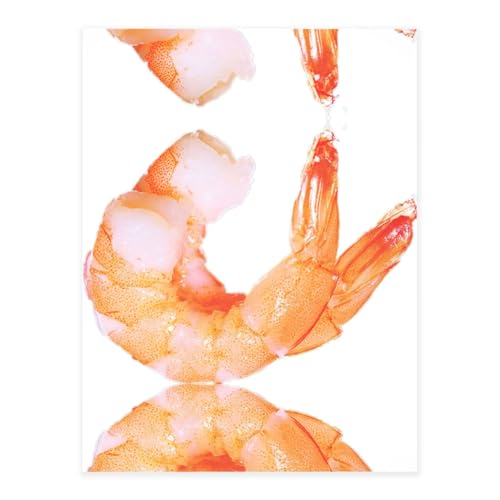 Glutton Shrimps Druck-Kristall-Aufkleber zum Basteln, niedliche Aufkleber, Bastelbedarf für Damen und Herren, für Laptop, Skateboard von KAPPTYY