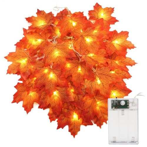 KARELLS Ahornblatt Lichterkette,Herbst Lichterkette,3M 20 LED 2 Modi Herbst Ahornblatt Girlande Lichtern Blättergirlande,Perfekte für Halloween/Innen Party/Hochzeit/Weihnachten/Erntedankfest Deko KARELLS Ahornblatt Lichterkette,Herbst Lichterkette,3M 20 LED 2 Modi Herbst Ahornblatt Girlande Lichtern Blättergirlande,Perfekte für Halloween/Innen Party/Hochzeit/Weihnachten/Erntedankfest Deko von KARELLS