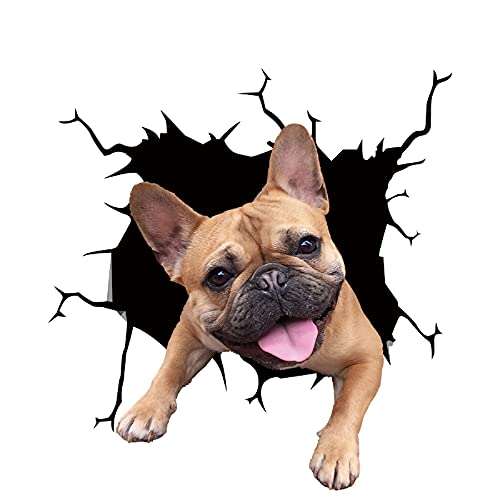 Süß 3D Hund Wandaufkleber Kinderzimmer Schlafzimmer Wandtattoo WC Deckel Wasserfest Aufkleber Badezimmer Wandsticker Auto Aufkleber Anime lustige Dekoration (C) von KAREN66