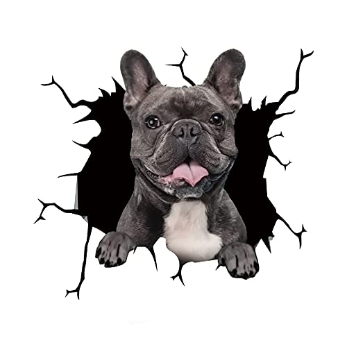 Süß 3D Hund Wandaufkleber Kinderzimmer Schlafzimmer Wandtattoo WC Deckel Wasserfest Aufkleber Badezimmer Wandsticker Auto Aufkleber Anime lustige Dekoration (D) von KAREN66