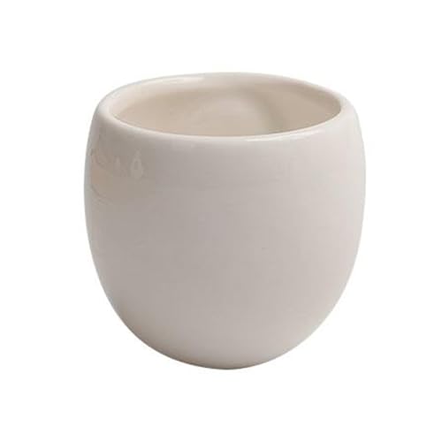 KASNLSAC 3D Kühlschrankmagnet Vase Mini Keramik Dekorative Blume für Home Office Küche Locker Whiteboard Kompakt Blumen F KASNLSAC 3D Kühlschrankmagnet Vase Mini Keramik Dekorative Blume für Home Office Küche Locker Whiteboard Kompakt Blumen F von KASNLSAC