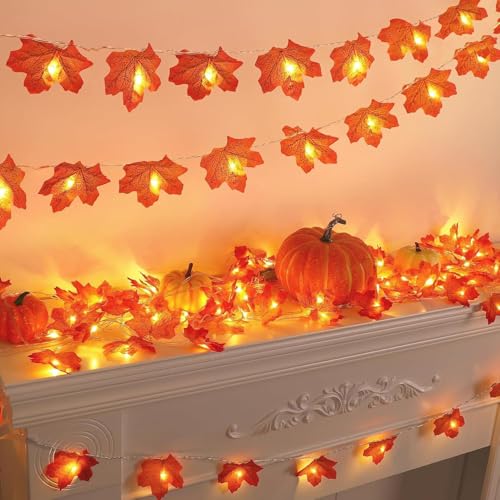 KATELUO Herbst Lichterkette, 3 Meter 20 LED Herbst Lichterketten Ahornblatt Girlande Herbst Deko, Ahornblätter Kürbis Lichterketten Batteriebetrieben für Erntedankfest Halloween Weihnachten Party KATELUO Herbst Lichterkette, 3 Meter 20 LED Herbst Lichterketten Ahornblatt Girlande Herbst Deko, Ahornblätter Kürbis Lichterketten Batteriebetrieben für Erntedankfest Halloween Weihnachten Party von KATELUO