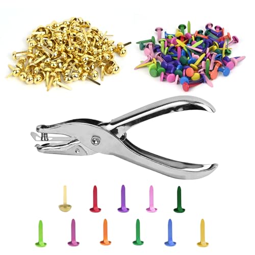 KATIMI 200 Stück Runde Musterbeutelklammern, Bunt Musterklammern mit Lochzange, Goldene Rundkopfklammern, Mini Metall Brads für Büro Schule Scrapbooking Basteln DIY Kunsthandwerk KATIMI 200 Stück Runde Musterbeutelklammern, Bunt Musterklammern mit Lochzange, Goldene Rundkopfklammern, Mini Metall Brads für Büro Schule Scrapbooking Basteln DIY Kunsthandwerk von KATIMI
