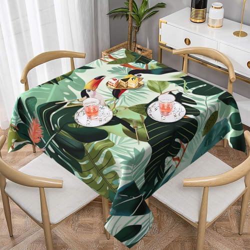 KCGSDEGV Quadratische Tischdecke, Motiv: tropische Blätter, Vogel, bedruckt, 137 x 137 cm, wasserabweisend, waschbar, Tischdecken für Küche und Esszimmer KCGSDEGV Quadratische Tischdecke, Motiv: tropische Blätter, Vogel, bedruckt, 137 x 137 cm, wasserabweisend, waschbar, Tischdecken für Küche und Esszimmer von KCGSDEGV