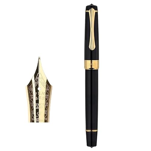KDEGK Acryl-Kolben-Füllfederhalter-Klinge/runde Feder, Tintenabsorbierender Stift, große Kapazität, transparent, Business-Schriftzug, Geschenkstift (H) von KDEGK