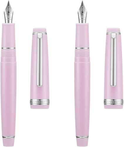 KDEGK Füllfederhalter EF/F/M Feder mit Konverter, mehrfarbiges Harz, silberfarben/goldener Clip, Schreibstift-Set (Rosa-Silber, EF und M) von KDEGK