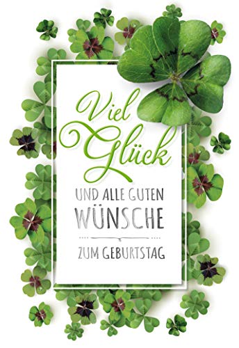 KE - Premium Geburtstagskarte mit Blumenmotiv, DIN B6 Klappkarte inkl. Umschlag, Hochwertige Blumenkarte 176x125mm, Motiv: Kleeblätter KE - Premium Geburtstagskarte mit Blumenmotiv, DIN B6 Klappkarte inkl. Umschlag, Hochwertige Blumenkarte 176x125mm, Motiv: Kleeblätter von KE