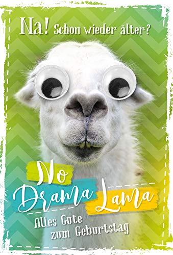 Geburtstagskarte Lama mit Kulleraugen | Geburtstagskarte lustig | Geburtstagskarte Set mit Umschlag | Glückwunschkarte zum Geburtstag | Karte mit Motiv | Klappkarte inkl. Umschlag Geburtstagskarte Lama mit Kulleraugen | Geburtstagskarte lustig | Geburtstagskarte Set mit Umschlag | Glückwunschkarte zum Geburtstag | Karte mit Motiv | Klappkarte inkl. Umschlag von KE