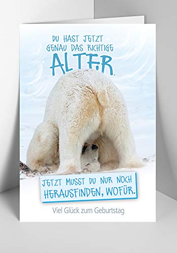 KE - Lustige Geburtstagskarte Set, DIN B6 Klappkarte, Humorvolle Glückwunschkarte mit Spruch, Inklusive Umschlag, Motiv: Eisbär von KE