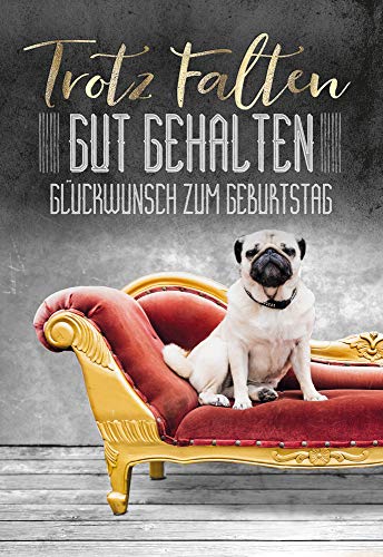 Glückwunschkarte zum Geburtstag | Lustige Geburtstagskarte mit Mops | Geburtskarten Set mit Umschlag | DIN B6 | 17,1 x 11,7cm | Klappkarte Glückwunschkarte zum Geburtstag | Lustige Geburtstagskarte mit Mops | Geburtskarten Set mit Umschlag | DIN B6 | 17,1 x 11,7cm | Klappkarte von KE