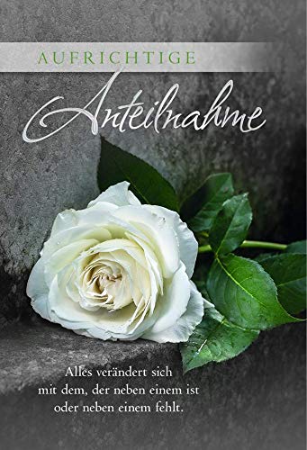 KE - Tröstliche Beileidskarte mit Umschlag, Stilvolle Klappkarte zur Anteilnahme für Beerdigung, DIN B6 Trauer-Grußkarte, Hochwertige Kondolenzkarte - Motiv: Weiße Rose KE - Tröstliche Beileidskarte mit Umschlag, Stilvolle Klappkarte zur Anteilnahme für Beerdigung, DIN B6 Trauer-Grußkarte, Hochwertige Kondolenzkarte - Motiv: Weiße Rose von KE