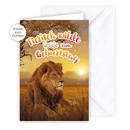 KE - Sensationelle Geburtstagskarte mit Fühlbarem Fell, Geschenk für Kinder, DIN B6 Klappkarte inkl. Umschlag, Motiv: Löwe KE - Sensationelle Geburtstagskarte mit Fühlbarem Fell, Geschenk für Kinder, DIN B6 Klappkarte inkl. Umschlag, Motiv: Löwe von KE