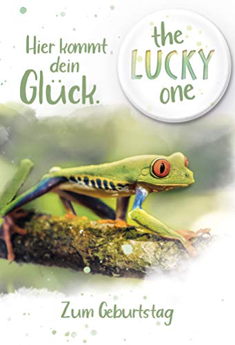 KE - Humorvolle Geburtstagskarte DIN B6, Inklusive Button & Umschlag, Klappkarte 176x125mm - Motiv Frosch KE - Humorvolle Geburtstagskarte DIN B6, Inklusive Button & Umschlag, Klappkarte 176x125mm - Motiv Frosch von KE