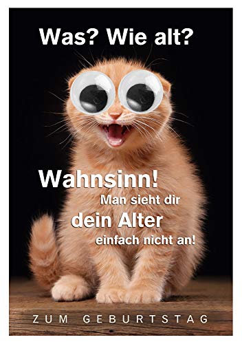 KE - Lustige Geburtstagskarte mit Wackelaugen, Kulleraugen Klappkarte, Glückwunsch & Grußkarte in DIN B6 inklusive Umschlag - Motiv: Katze KE - Lustige Geburtstagskarte mit Wackelaugen, Kulleraugen Klappkarte, Glückwunsch & Grußkarte in DIN B6 inklusive Umschlag - Motiv: Katze von KE