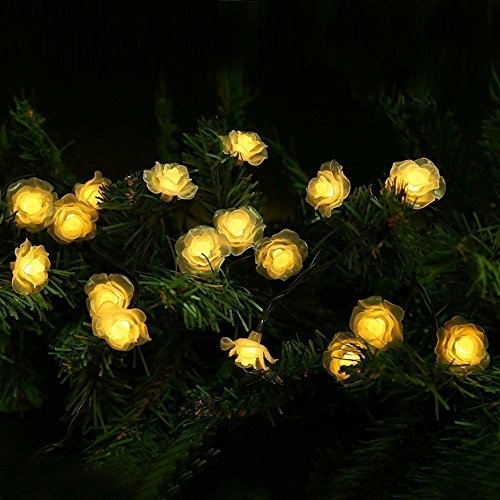 KEEDA Solar Lichterketten, 20 LED Rose Blume Lichterkette Wasserdichte dekorative Beleuchtung für Außen Patio Garten Hochzeit Weihnachten Party (Warmweiß) von KEEDA