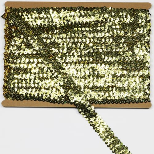 Elastisches Paillettenband, Länge 9,1 m, Breite 3,1 cm, für alle Arten von genähten Kleidungsstücken von KERGAEN