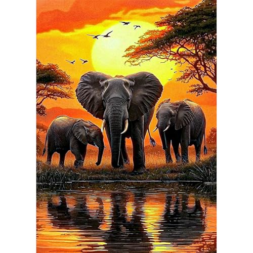 KEYIFA Elefant Diamond Painting Set, 5D DIY Vollbohrer Basteln Bilder Diamond Painting mit ZubehöR, Tiere Crystal Art Foto Diamond Painting FüR Erwachsene, Home Wand Dekor 30x40cm KEYIFA Elefant Diamond Painting Set, 5D DIY Vollbohrer Basteln Bilder Diamond Painting mit ZubehöR, Tiere Crystal Art Foto Diamond Painting FüR Erwachsene, Home Wand Dekor 30x40cm von KEYIFA