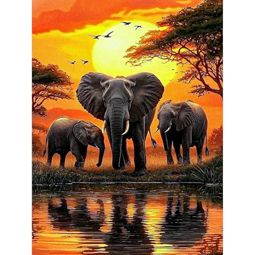KEYIFA Elefant Malen Nach Zahlen Erwachsene, Malen Nach Zahlen Kits mit Pinseln und Acrylfarben, DIY Tier Ölgemälde Set Malen Basteln Leinwand Bild Erwachsene, Home Deko 30x40cm von KEYIFA