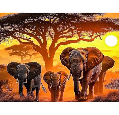 KEYIFA Elefanten Malen Nach Zahlen Erwachsene, Malen Nach Zahlen Kits mit Pinseln und Acrylfarben, DIY Tier Ölgemälde Set Malen Basteln Leinwand Bild Erwachsene, Home Deko 40x30cm KEYIFA Elefanten Malen Nach Zahlen Erwachsene, Malen Nach Zahlen Kits mit Pinseln und Acrylfarben, DIY Tier Ölgemälde Set Malen Basteln Leinwand Bild Erwachsene, Home Deko 40x30cm von KEYIFA