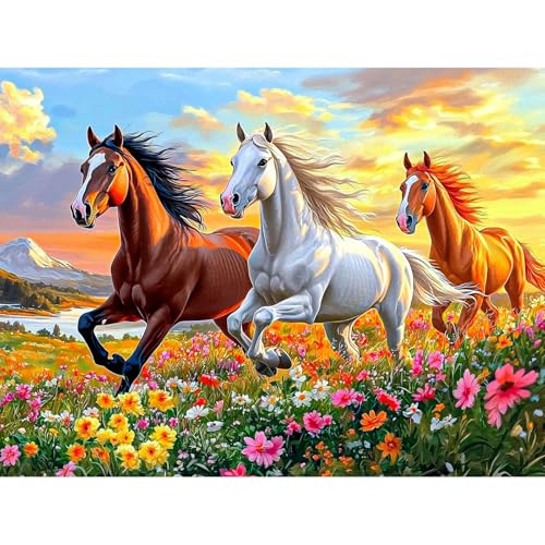 KEYIFA Galoppierende Pferde Malen Nach Zahlen Erwachsene, Malen Nach Zahlen Kits mit Pinseln, DIY Tiere Ölgemälde Set Malen Basteln Leinwand Bild Erwachsene, Home Deko 40x30cm KEYIFA Galoppierende Pferde Malen Nach Zahlen Erwachsene, Malen Nach Zahlen Kits mit Pinseln, DIY Tiere Ölgemälde Set Malen Basteln Leinwand Bild Erwachsene, Home Deko 40x30cm von KEYIFA