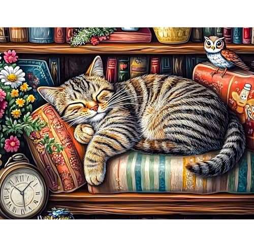 KEYIFA Katze Malen Nach Zahlen Erwachsene, Katze Bücherregal Malen Nach Zahlen Kits mit Pinseln, DIY Tier Ölgemälde Set Malen Basteln Leinwand Bild Erwachsene, Home Deko 40x50cm KEYIFA Katze Malen Nach Zahlen Erwachsene, Katze Bücherregal Malen Nach Zahlen Kits mit Pinseln, DIY Tier Ölgemälde Set Malen Basteln Leinwand Bild Erwachsene, Home Deko 40x50cm von KEYIFA