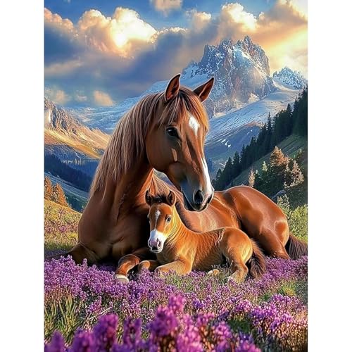 KEYIFA Malen Nach Zahlen Erwachsene, Pferd Kunst Malen Nach Zahlen Kits mit Pinseln und Acrylfarben, DIY Ölgemälde Set Malen Basteln Leinwand Bild Erwachsene, Home Deko 30x40cm KEYIFA Malen Nach Zahlen Erwachsene, Pferd Kunst Malen Nach Zahlen Kits mit Pinseln und Acrylfarben, DIY Ölgemälde Set Malen Basteln Leinwand Bild Erwachsene, Home Deko 30x40cm von KEYIFA