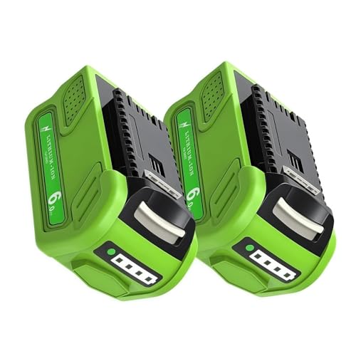 40V 6000mAh Rechargeable Battery, Compatible With Greenworks. 290131 - Long Lasting Power Tool Battery For Lawn Mowers, Trimmers, Chainsaws & Outdoor Tools(2pcs for 290131) von KGNGBEM