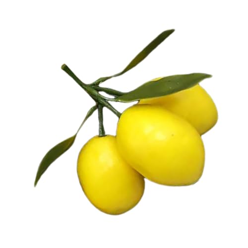 KICHOUSE Zitronendekorative Requisiten Dekoration künstlich Simulation Zitronenmodell Party Mini Zitronendekor für die Küche Zitronenornamente Zitronen-Küchendekor Artfificial Lemon Plastik KICHOUSE Zitronendekorative Requisiten Dekoration künstlich Simulation Zitronenmodell Party Mini Zitronendekor für die Küche Zitronenornamente Zitronen-Küchendekor Artfificial Lemon Plastik von KICHOUSE