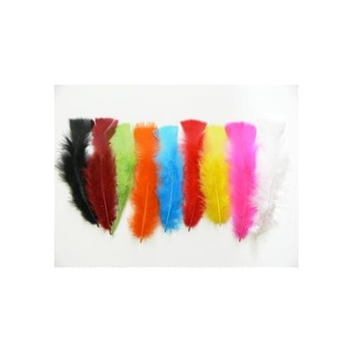 KIDDICRAFT Blister 150 Truthahnfedern 15 cm, 25 g, farblich sortiert KIDDICRAFT Blister 150 Truthahnfedern 15 cm, 25 g, farblich sortiert von KIDDICRAFT