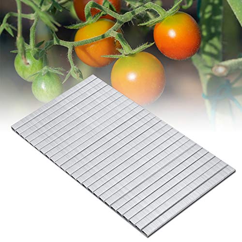 KIMISS 10000 Stück 604C Tomate, Nagel Tapetool Gartenzweig Pflanzenbinder Rebe Tomo Zoll Starke Bindung KIMISS 10000 Stück 604C Tomate, Nagel Tapetool Gartenzweig Pflanzenbinder Rebe Tomo Zoll Starke Bindung von KIMISS