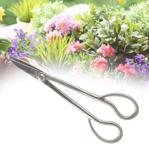 KIMISS Premium Edelstahl Bonsai Scissors - Ergonomischer Langer Griff 185 Mm Bonsai -Scheren Zum Beschneiden Kleiner Zweige und Blätter von KIMISS