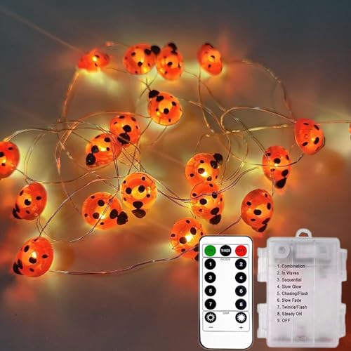 KINGCOO 9.8ft 30Led Marienkäfer Kupferdraht Fee Dekorative Lichterketten Batteriebetriebene mit Remote Timer für Sommer Kinder Schlafzimmer Valentinstag Weihnachten Hochzeit Party DIY Dekorationen von KINGCOO