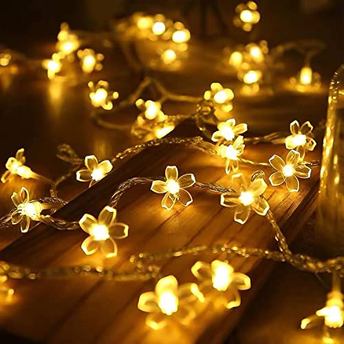 KINGCOO Blumen Schnur Lichter, 6M 40Led Pfirsichblüte Kirschblüte Fee Dekorative Lichterkette Batteriebetrieben für Sommer Garten Hochzeit Party Weihnachten Beleuchtung Dekoration(Warmweiß) von KINGCOO