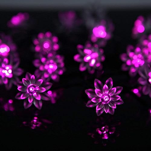 KINGCOO Solar Blume Außenlichterkette, Wasserdicht 23FT 50LED Lotus Blume Solar Lichterketten mit 8 Modus Weihnachtsbeleuchtung für Garten Hochzeit Party Dekoration (Rosa) von KINGCOO