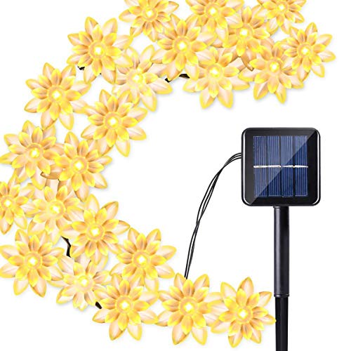KINGCOO Solar Blume Außenlichterkette, Wasserdicht 23FT 50LED Lotus Blume Solar Lichterketten mit 8 Modus Weihnachtsbeleuchtung für Garten Hochzeit Party Dekoration (Warmweiß) von KINGCOO