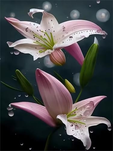 Diamond Painting Erwachsene, 5D Diamant Painting Rosa Lilien, DIY Diamant Painting Bilder Kinder, Square Full Drill Diamant Malerei Stickerei Kreuzstich Geschenke Home Wand Dekor 40x50cm von KIZIFI