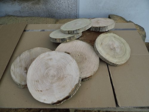 10 Baumscheiben, Holzscheiben,Baumscheibe, ca. 18-20 cm, Astscheiben von KJR Holzmanufaktur