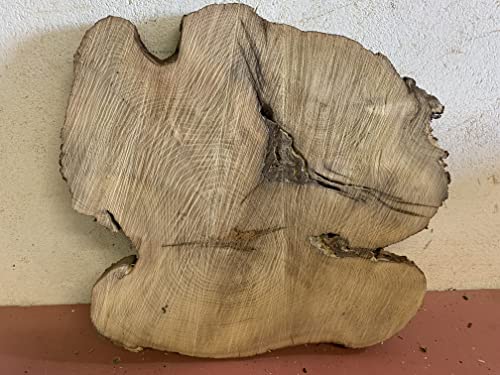 Baumscheibe, Holzscheibe, Baumscheibe, ca. 50x5 cm Robinie Baumscheibe, Holzscheibe, Baumscheibe, ca. 50x5 cm Robinie von KJR Holzmanufaktur
