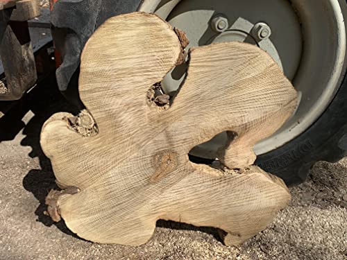 Baumscheibe, Holzscheibe, Baumscheibe, ca. 60x5 cm Robinie Tischplatte Baumscheibe, Holzscheibe, Baumscheibe, ca. 60x5 cm Robinie Tischplatte von KJR Holzmanufaktur