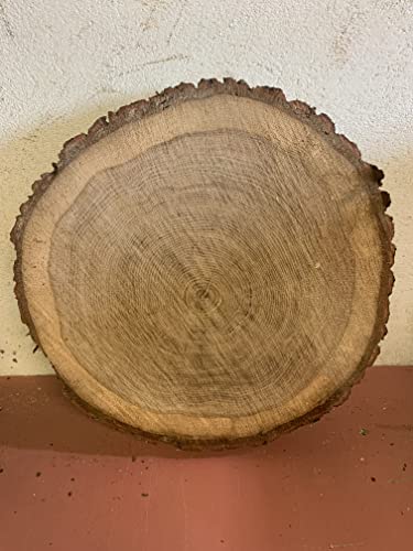 Baumscheibe, Holzscheibe, Tischplatte ca. 40/5 Eiche Baumscheibe, Holzscheibe, Tischplatte ca. 40/5 Eiche von KJR Holzmanufaktur