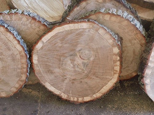 Baumscheibe, Holzscheibe, ca. 40 x 3 cm, basteln, Holz, Eiche von KJR Holzmanufaktur