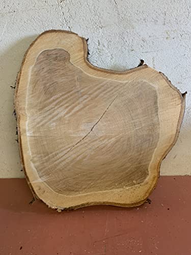 Baumscheibe, Holzscheibe,Ba umscheibe, ca. 60x3 cm Kirsche Baumscheibe, Holzscheibe,Ba umscheibe, ca. 60x3 cm Kirsche von KJR Holzmanufaktur