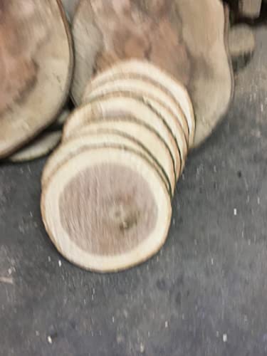 Baumscheibe, Holzscheibe,Baumscheibe, ca. 40x3 cm, Roteiche Eiche von KJR Holzmanufaktur