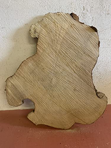 Baumscheibe, Holzscheibe,Baumscheibe, ca. 50x40x3cm Robinie von KJR Holzmanufaktur