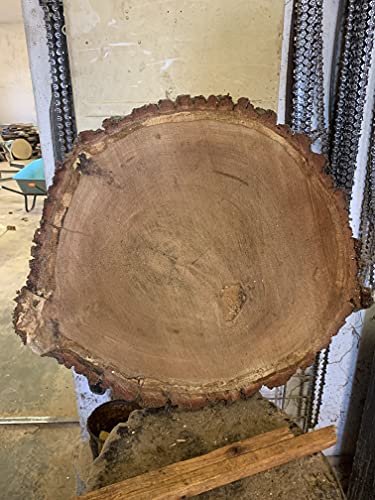 Baumscheibe, Holzscheibe Tischplatte Eiche ca. 60/5 von KJR Holzmanufaktur