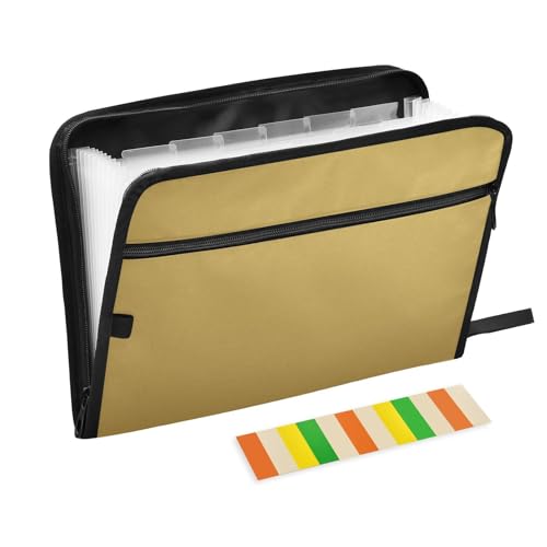 Akkordeanische Aktenordner, A4-Größe, Organizer mit Ordnern mit Etikett, für Ärzte, Krankenpflege, Metallic-Gold von KLL