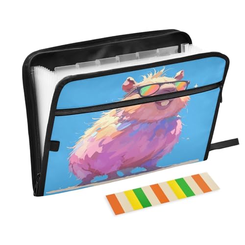 Capybara Dokumentenmappe mit Etiketten, 13 Taschen, A4, Briefgröße mit Reißverschluss, für Büro, erweiterbar, Blau Capybara Dokumentenmappe mit Etiketten, 13 Taschen, A4, Briefgröße mit Reißverschluss, für Büro, erweiterbar, Blau von KLL