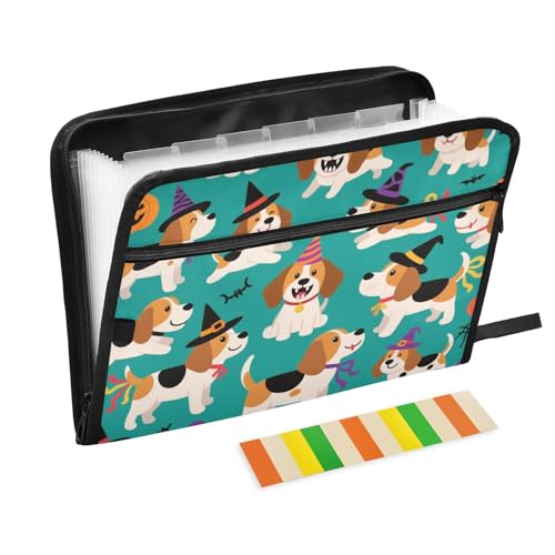 Dokumentenmappe, Motiv: süßer brauner Beagle, Hund, Kürbis für Halloween, 13 Taschen, A4, Briefgröße mit Reißverschluss, für Büro, Aktenordner, Jacken, Organizer Dokumentenmappe, Motiv: süßer brauner Beagle, Hund, Kürbis für Halloween, 13 Taschen, A4, Briefgröße mit Reißverschluss, für Büro, Aktenordner, Jacken, Organizer von KLL
