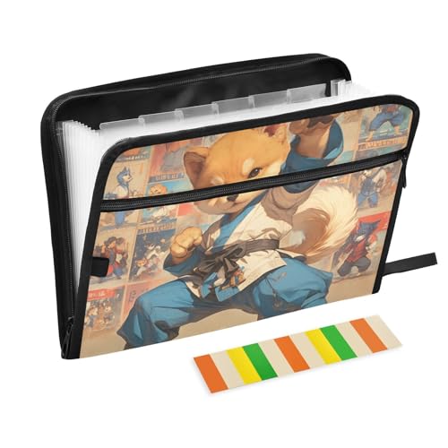Dokumentenmappe mit niedlichem Kung-Fu-Motiv, 13 Taschen, A4, Briefgröße mit Reißverschluss, für Büro, Fächermappe, Akkordeon Carpeta de von KLL