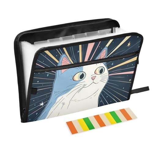 Fächermappe, A4, Kunststoff, Fächermappe mit Etikett, für Pflegestudenten, Meetings, ästhetische Ragdoll-Katze von KLL